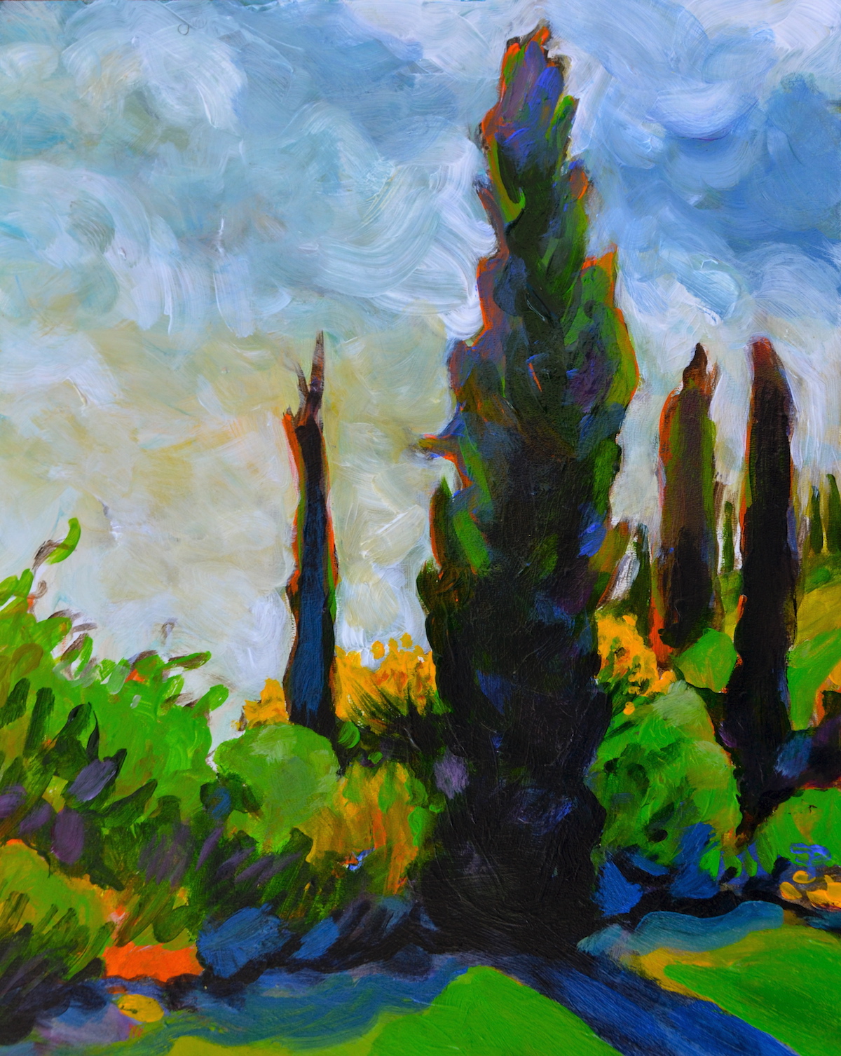 Morning Cypresses